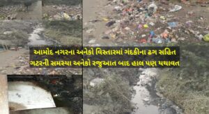 આમોદ નગરની ગંદકી તસ્વીરમાં દ્રષ્ટિગોચર થઈ રહી છે