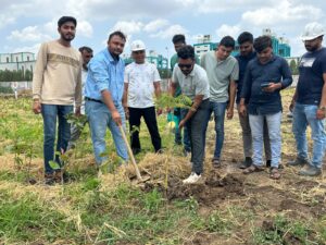 ઓછી જગ્યામાં વધુ વૃક્ષોનું વાવેતર