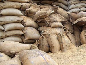 ત્યારે ગરીબોનું અનાજ ઓહિયા કરી જનાર ભ્રષ્ટાચારી દુકાન સંચાલક સામે નેતાઓના મૌનથી ગરીબોમાં રોષ જોવા મળી રહ્યો છે.